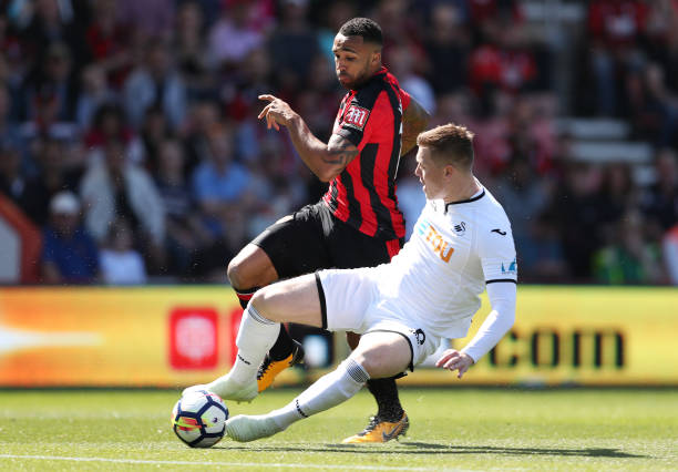 本土市场 本土市场