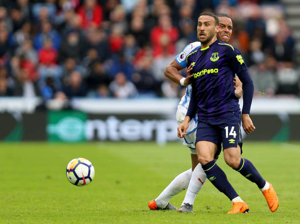 但他们缺乏 但他们缺乏